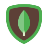 mongoDB Icon